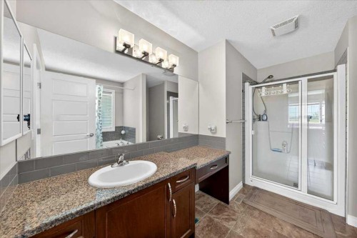 248 Rainbow Falls Way, Chestermere, AB - Indoor Photo Showing Bathroom