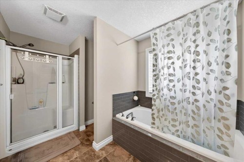 248 Rainbow Falls Way, Chestermere, AB - Indoor Photo Showing Bathroom
