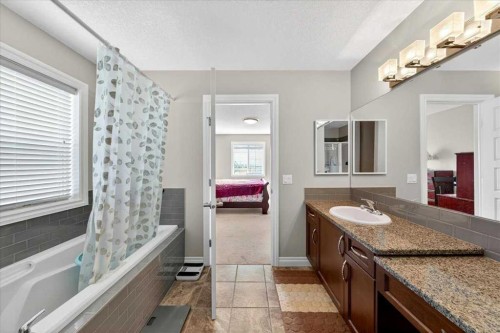 248 Rainbow Falls Way, Chestermere, AB - Indoor Photo Showing Bathroom