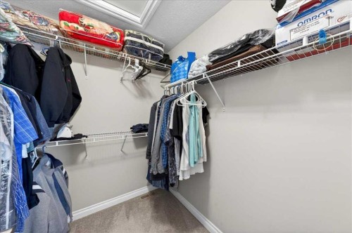 248 Rainbow Falls Way, Chestermere, AB - Indoor With Storage