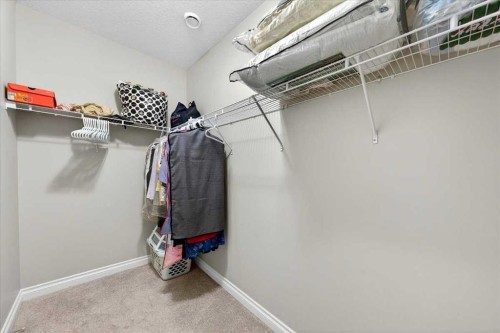 248 Rainbow Falls Way, Chestermere, AB - Indoor With Storage