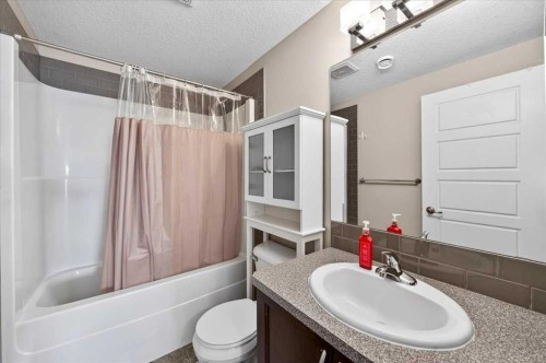 248 Rainbow Falls Way, Chestermere, AB - Indoor Photo Showing Bathroom