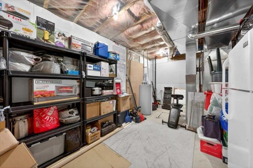 248 Rainbow Falls Way, Chestermere, AB - Indoor Photo Showing Basement