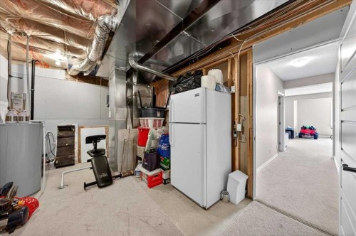248 Rainbow Falls Way, Chestermere, AB - Indoor Photo Showing Basement