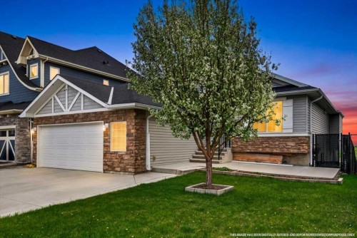 248 Rainbow Falls Way, Chestermere, AB - Outdoor
