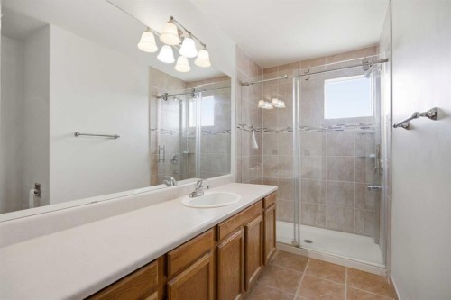 56 Whitworth Place Ne, Calgary, AB - Indoor Photo Showing Bathroom