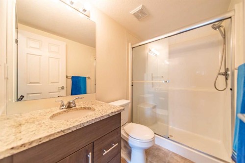 4318-99 Copperstone Park Se, Calgary, AB - Indoor Photo Showing Bathroom