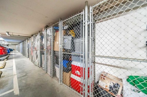 4318-99 Copperstone Park Se, Calgary, AB - Indoor With Storage