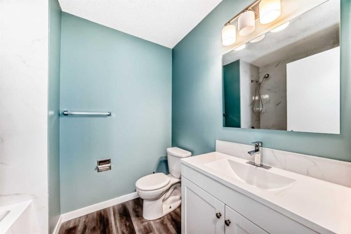 4308 55 Street Ne, Calgary, AB - Indoor Photo Showing Bathroom