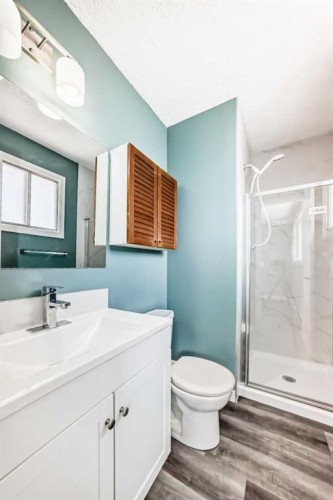 4308 55 Street Ne, Calgary, AB - Indoor Photo Showing Bathroom