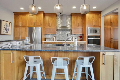145 Marquis Common Se, Calgary, AB - Indoor Photo Showing Kitchen With Stainless Steel Kitchen With Upgraded Kitchen
