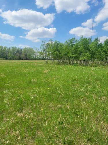 24166 Old Banff Coach Road, Rural Rocky View County, AB 