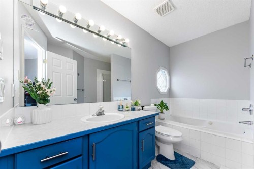 44 Tuscarora Place Nw, Calgary, AB - Indoor Photo Showing Bathroom