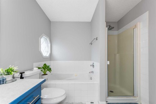 44 Tuscarora Place Nw, Calgary, AB - Indoor Photo Showing Bathroom