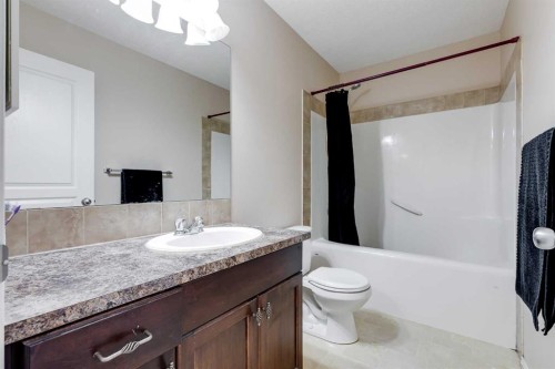 31 Taralake Gardens Ne, Calgary, AB - Indoor Photo Showing Bathroom