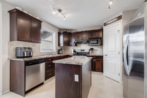 31 Taralake Gardens Ne, Calgary, AB - Indoor Photo Showing Kitchen With Upgraded Kitchen