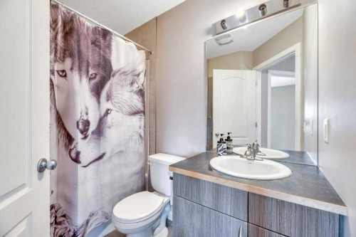 318 Strathcona Circle, Strathmore, AB - Indoor Photo Showing Bathroom