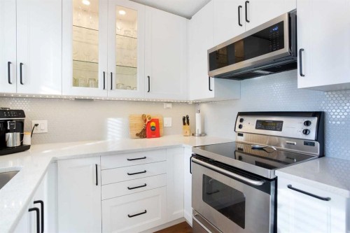 10 Deerfield Green Se, Calgary, AB - Indoor Photo Showing Kitchen