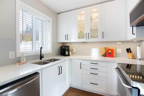 10 Deerfield Green Se, Calgary, AB - Indoor Photo Showing Kitchen With Double Sink With Upgraded Kitchen