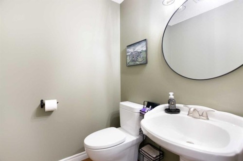 10 Deerfield Green Se, Calgary, AB - Indoor Photo Showing Bathroom