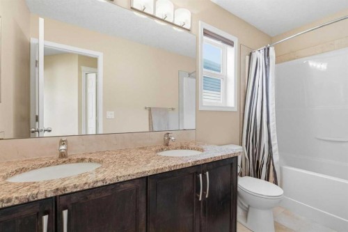 19 Hillcrest Link Sw, Airdrie, AB - Indoor Photo Showing Bathroom