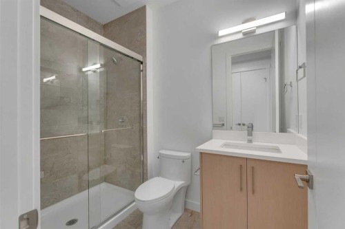 416 Watercrest Place, Chestermere, AB - Indoor Photo Showing Bathroom