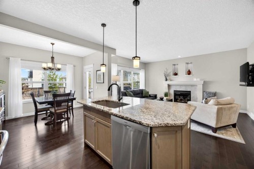 293 Bridleridge View Sw, Calgary, AB - Indoor With Fireplace