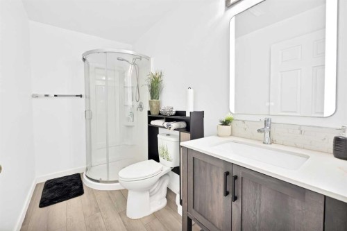 38 Balsam Crescent, Olds, AB - Indoor Photo Showing Bathroom