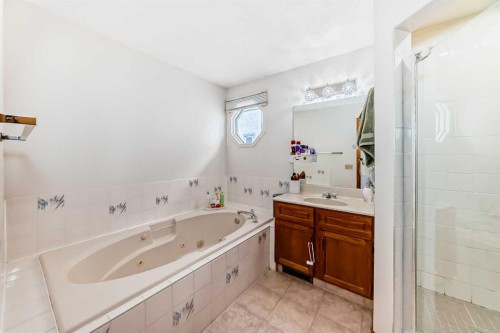 81 Eldorado Close Ne, Calgary, AB - Indoor Photo Showing Bathroom