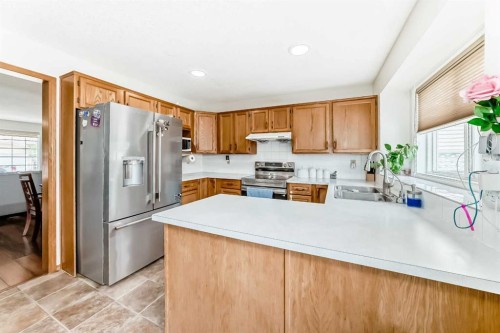 81 Eldorado Close Ne, Calgary, AB - Indoor Photo Showing Kitchen With Double Sink