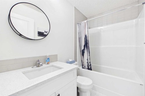 11 Royston Park Nw, Calgary, AB - Indoor Photo Showing Bathroom