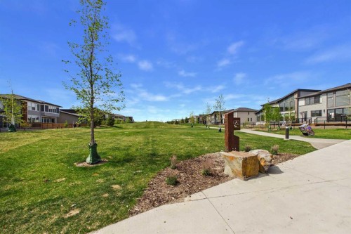 11 Royston Park Nw, Calgary, AB - Outdoor