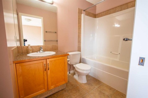 11 Saddlebrook Mews Ne, Calgary, AB 