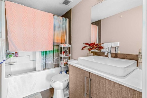 5404-302 Skyview Ranch Drive Ne, Calgary, AB - Indoor Photo Showing Bathroom