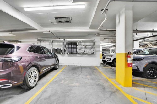 105-55 Wolf Hollow Crescent Se, Calgary, AB - Indoor Photo Showing Garage