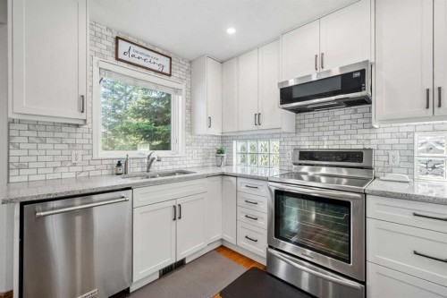 268 Douglas Woods Drive Se, Calgary, AB - Indoor Photo Showing Kitchen With Upgraded Kitchen