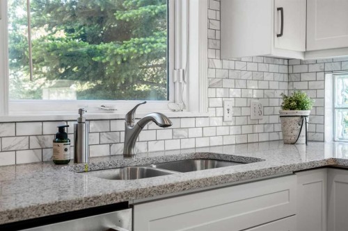 268 Douglas Woods Drive Se, Calgary, AB - Indoor Photo Showing Kitchen With Double Sink