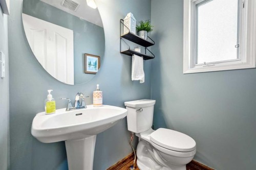 268 Douglas Woods Drive Se, Calgary, AB - Indoor Photo Showing Bathroom