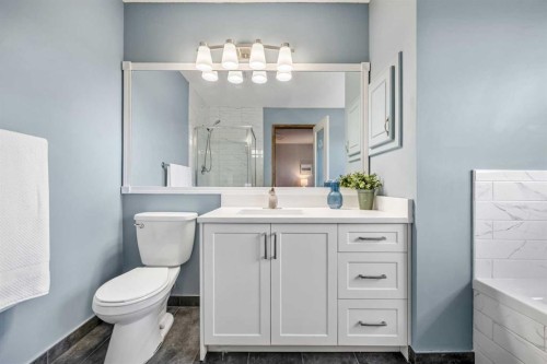 268 Douglas Woods Drive Se, Calgary, AB - Indoor Photo Showing Bathroom