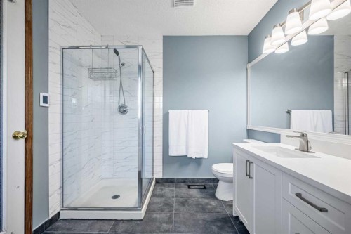 268 Douglas Woods Drive Se, Calgary, AB - Indoor Photo Showing Bathroom