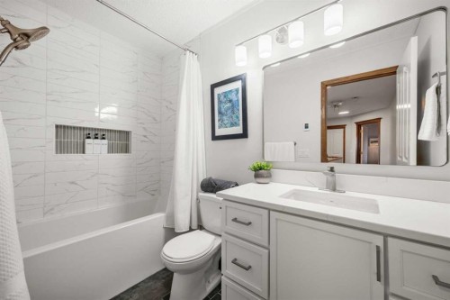 268 Douglas Woods Drive Se, Calgary, AB - Indoor Photo Showing Bathroom