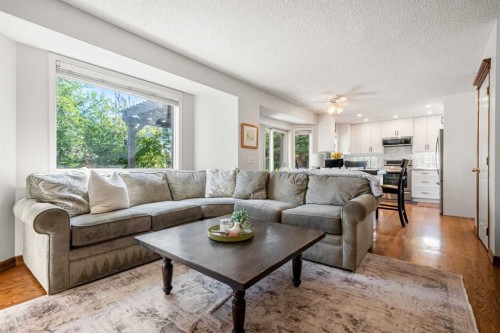 268 Douglas Woods Drive Se, Calgary, AB - Indoor Photo Showing Living Room