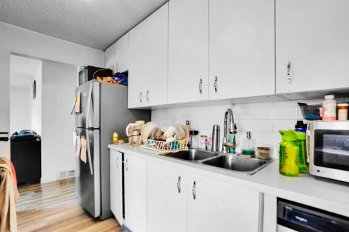 168 Castlebrook Drive Ne, Calgary, AB - Indoor Photo Showing Kitchen With Double Sink With Upgraded Kitchen