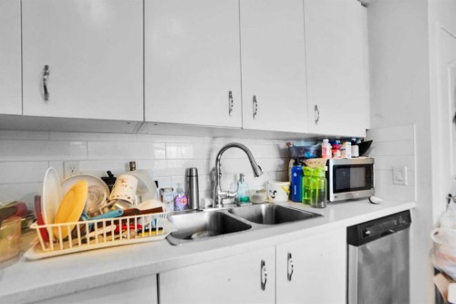 168 Castlebrook Drive Ne, Calgary, AB - Indoor Photo Showing Kitchen With Double Sink With Upgraded Kitchen
