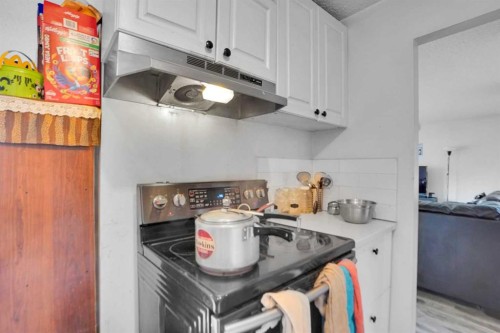 168 Castlebrook Drive Ne, Calgary, AB - Indoor Photo Showing Kitchen