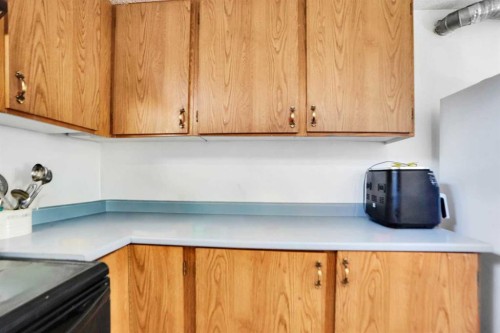 168 Castlebrook Drive Ne, Calgary, AB - Indoor Photo Showing Kitchen