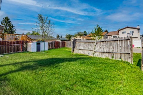 168 Castlebrook Drive Ne, Calgary, AB - Outdoor With Backyard