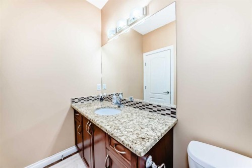 117 Saddlelake Grove Ne, Calgary, AB - Indoor Photo Showing Bathroom