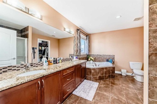117 Saddlelake Grove Ne, Calgary, AB - Indoor Photo Showing Bathroom