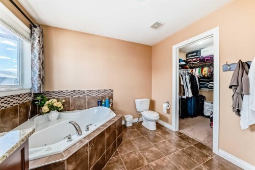 117 Saddlelake Grove Ne, Calgary, AB - Indoor Photo Showing Bathroom